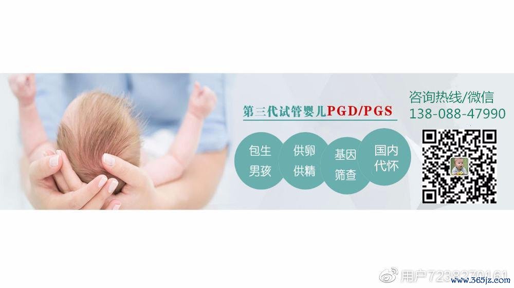 上海专业供卵试管婴儿服务