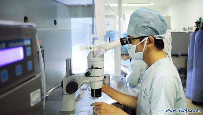 上海专业供卵试管婴儿服务