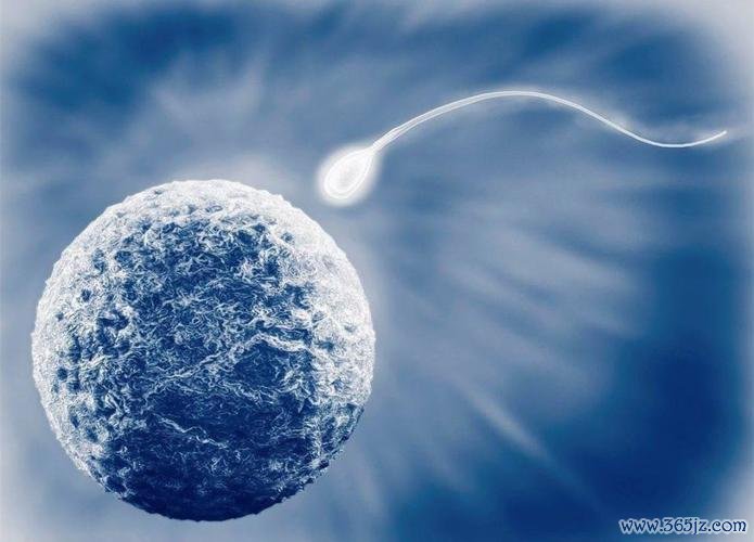 丹东试管婴儿助孕费用解析及第四代技术优势