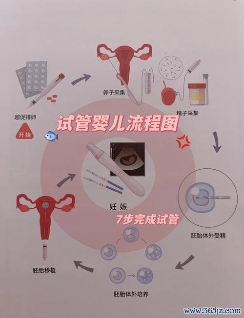 丹东试管婴儿助孕费用详情及名气助孕机构介绍