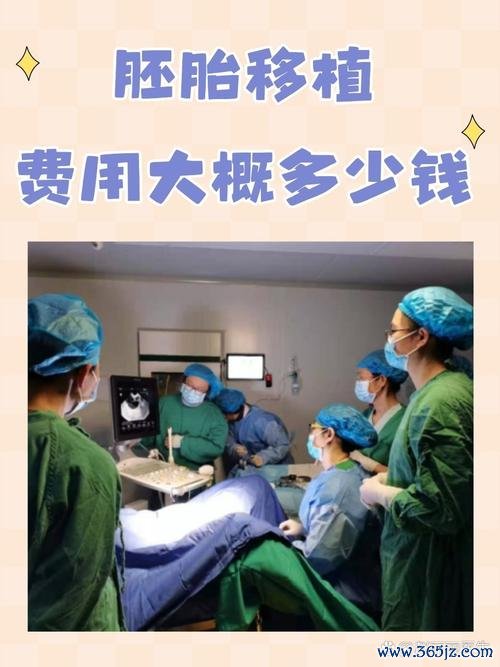 丹东试管婴儿助孕费用详解及咨询推荐