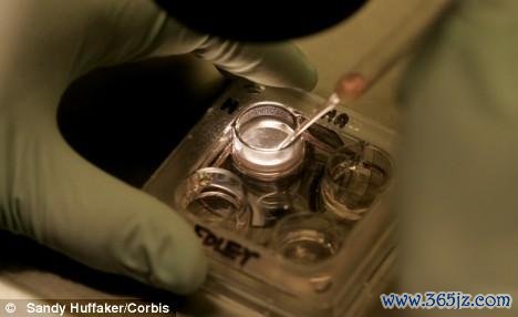 丹东试管婴儿技术交流平台第四代助孕经验分享