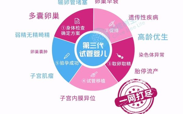 丹东试管婴儿技术优势解读及适应症广度分析