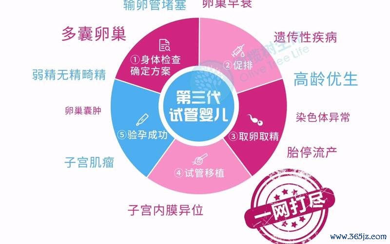 丹东试管婴儿技术优势解读及适应症广度分析